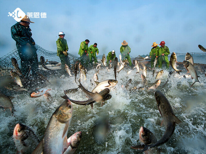 水产养殖PH检测仪哪个牌子好 莱恩德多参数水质分析仪推荐
