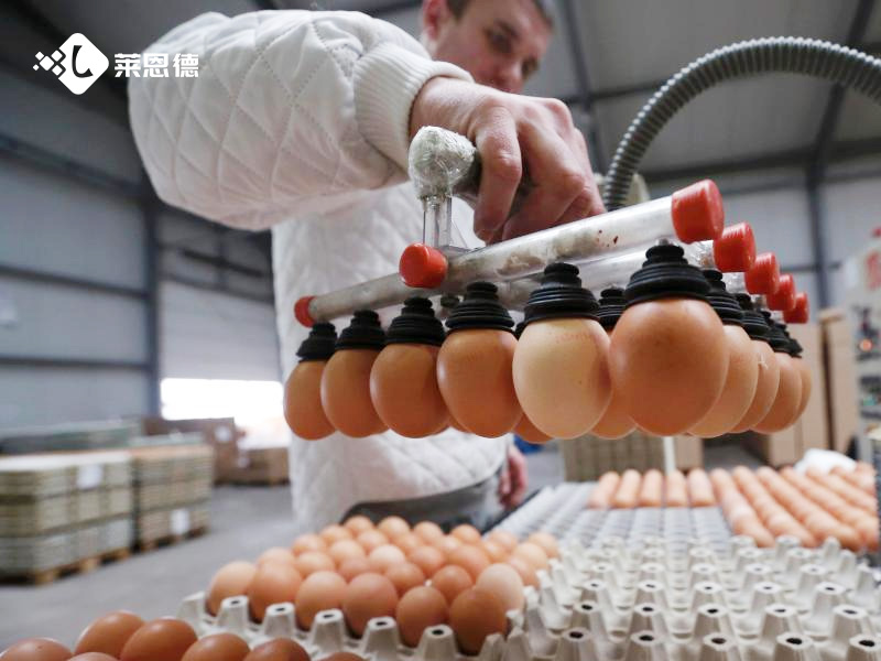 食堂农药残留检测仪怎么选 综合食品加工厂适用机型推荐